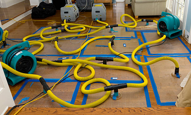 Professional Water Damage Restoration technician working in Orange City, FL